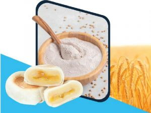 Bánh pía chay không sắc