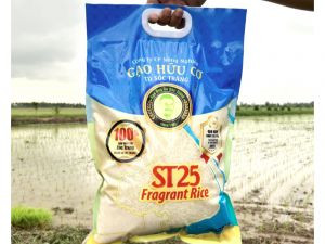 ST25 5Kg- 100% sản xuất tại Sóc Trăng