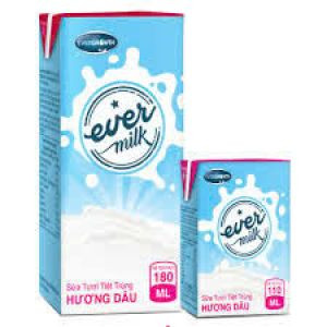 Ever Milk Dâu