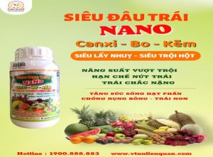 SIÊU ĐẬU TRÁI NANO (500ml)