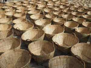 Cần xé tre